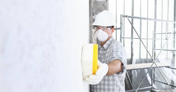 Best Commercial Mold Inspection  in Ol, LA