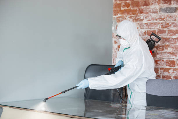 Biohazard Mold Removal in Olla, LA